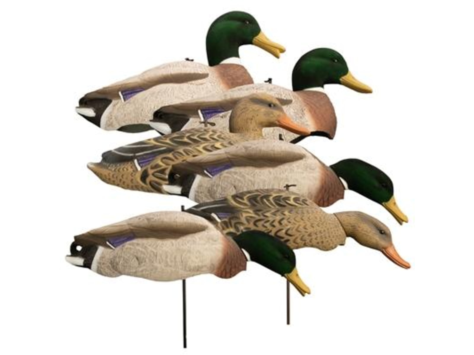 Higdon Outdoors Magnum Full Form Shell Mallard Variety Pack - Flocked Heads HG12034
