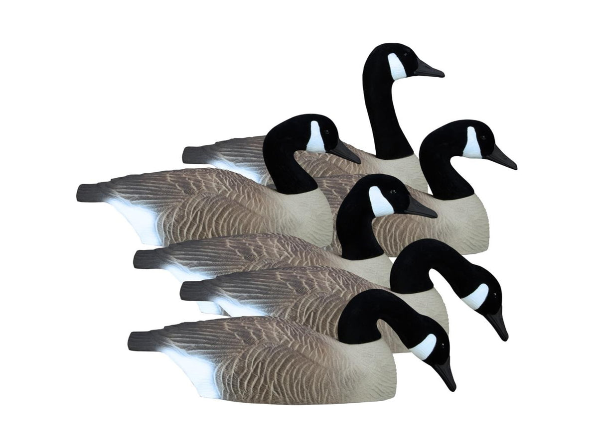 Higdon Outdoors Full Size Half Shell Canada 6pk 1C6EBACE HG77969