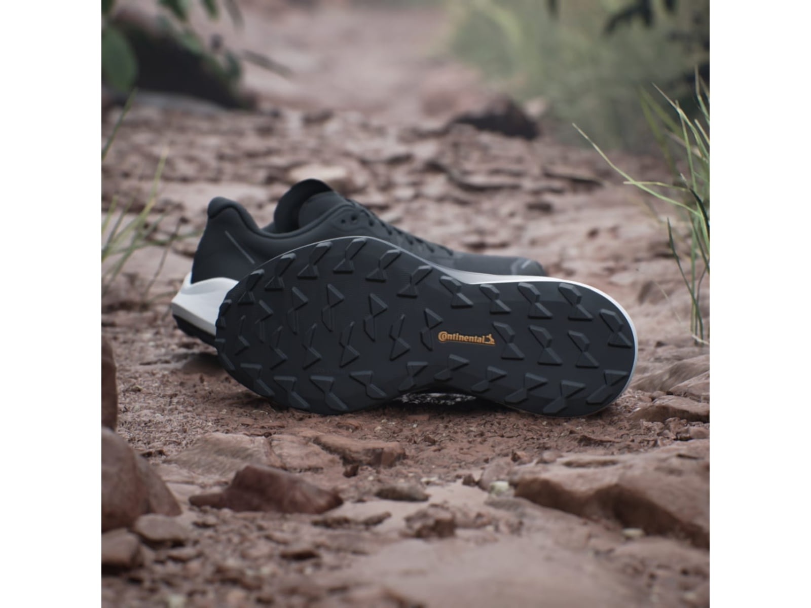 Adidas Terrex