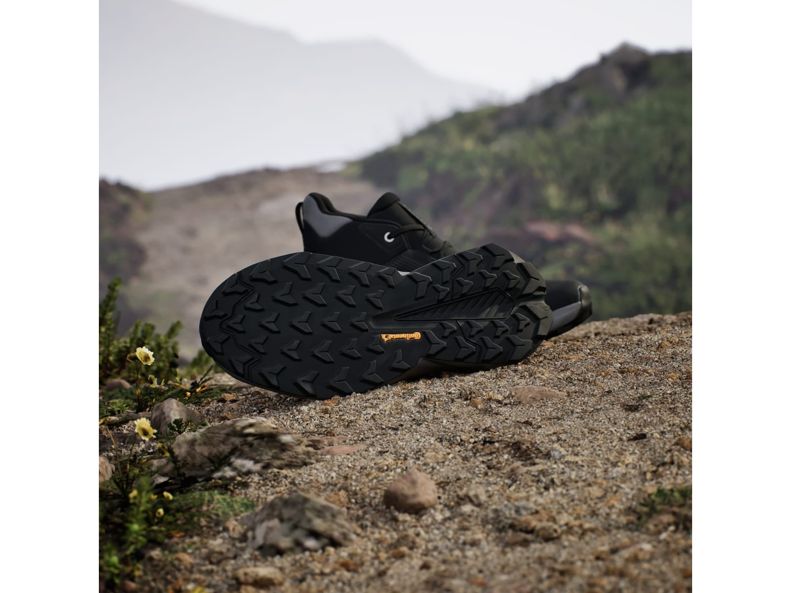 Adidas Terrex