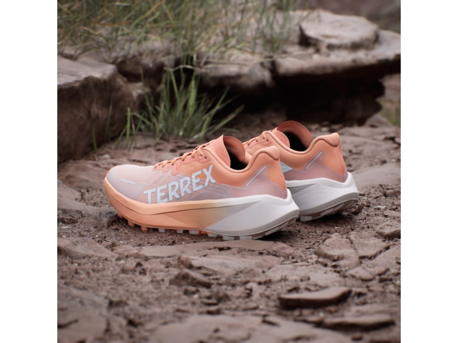 Adidas Terrex