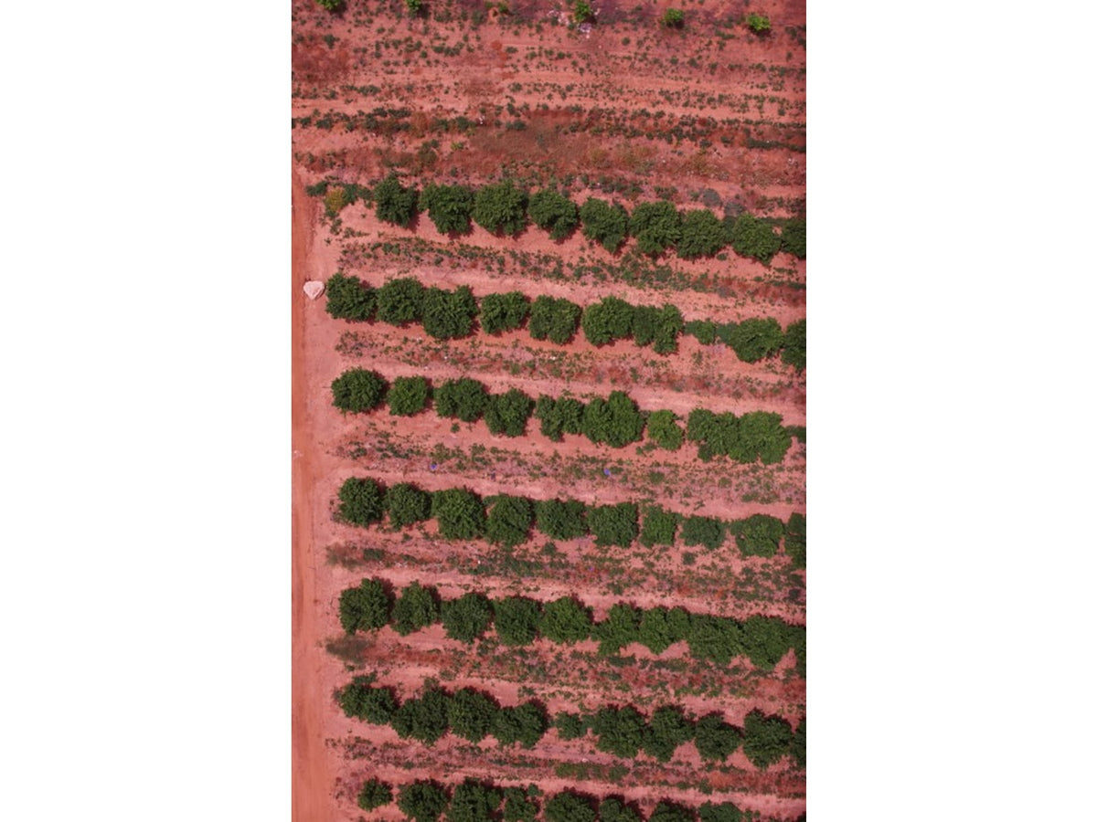 Agrowing Multi-Spectral Evaluation Package Black