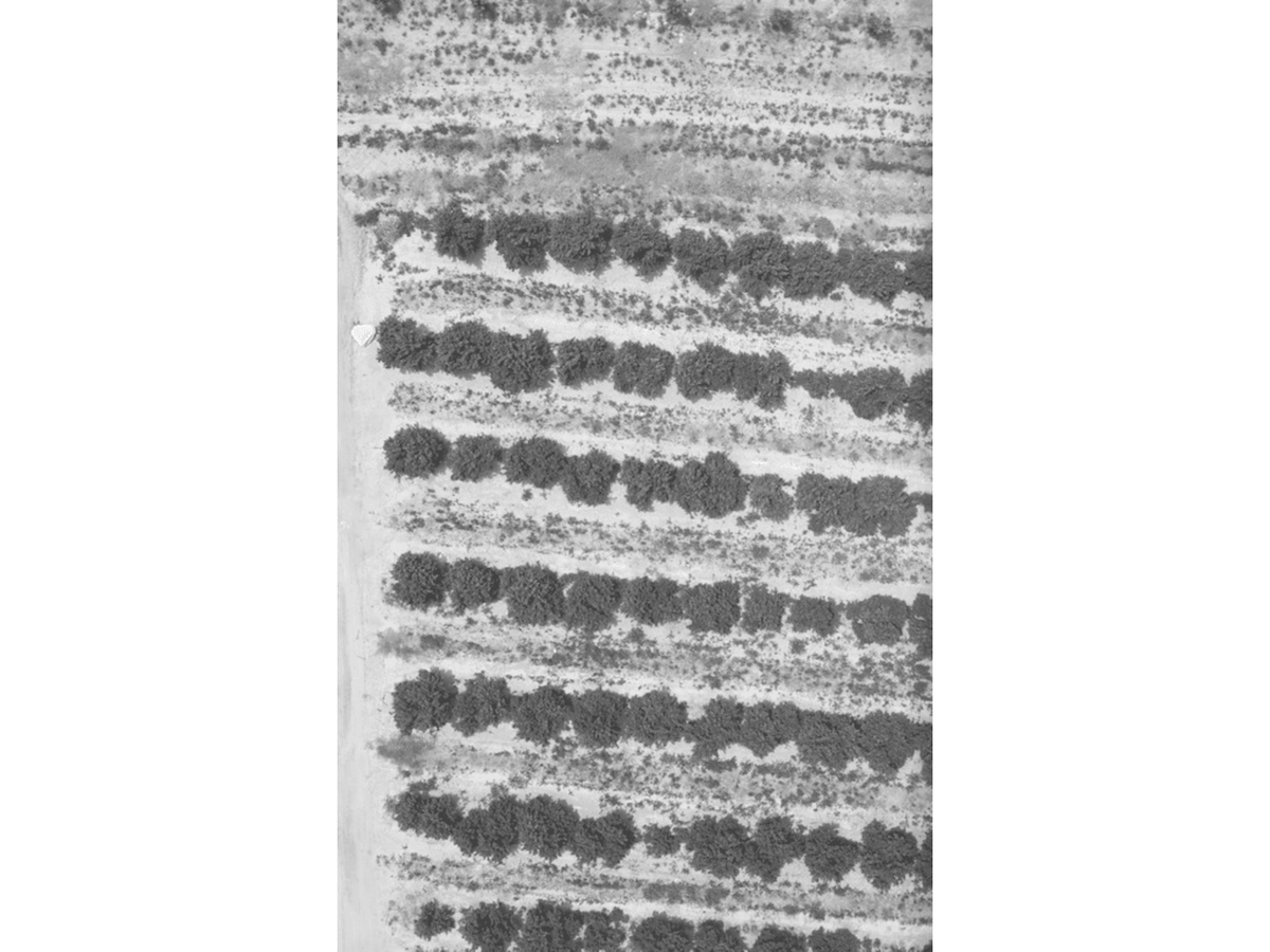 Agrowing Multi-Spectral Evaluation Package Black