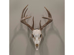 Allen EZ Mount Silhouette Skull Peg Black 7233