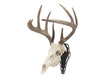 Allen EZ Mount Silhouette Skull Peg Black 7233