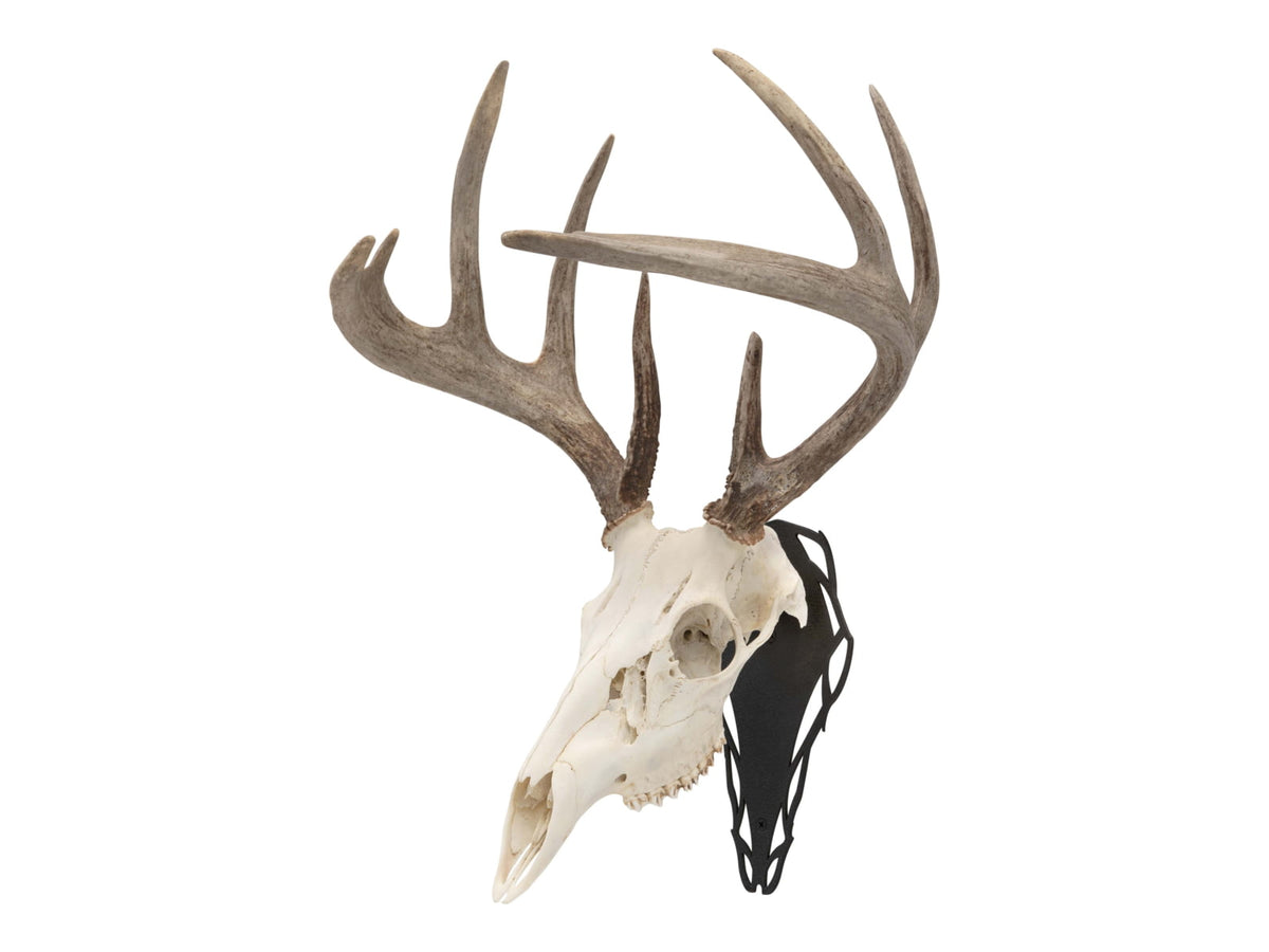 Allen EZ Mount Silhouette Skull Peg Black 7233