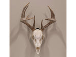 Allen EZ Mount Skull Peg Hook Black 7222