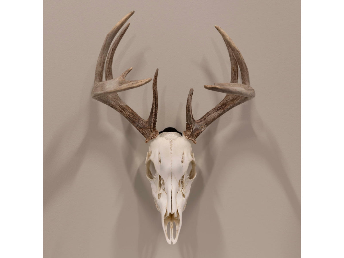 Allen EZ Mount Skull Peg Hook Black 7222