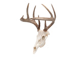 Allen EZ Mount Skull Peg Hook Black 7222