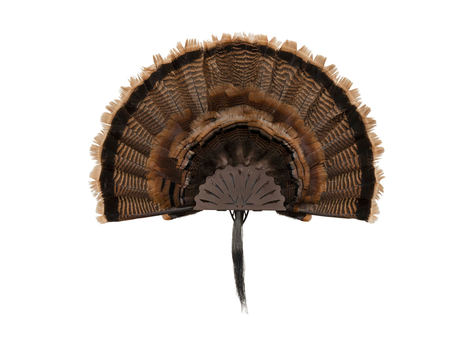 Allen EZ Mount Turkey Fan Display Brown 7238