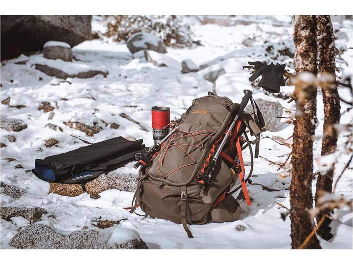 ALPS Mountaineering Journey Trekking Pole