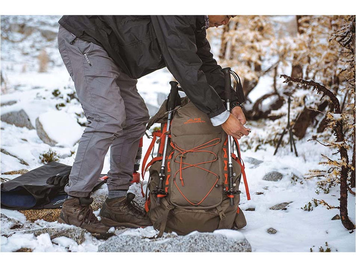 ALPS Mountaineering Journey Trekking Pole