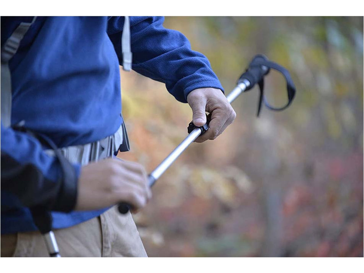 ALPS Mountaineering Journey Trekking Pole