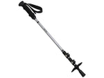 ALPS Mountaineering Journey Trekking Pole