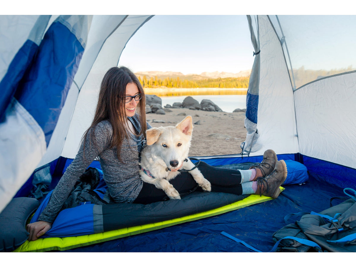 ALPS Mountaineering Lynx 2 Tent Glacier Gray/Blue Depths