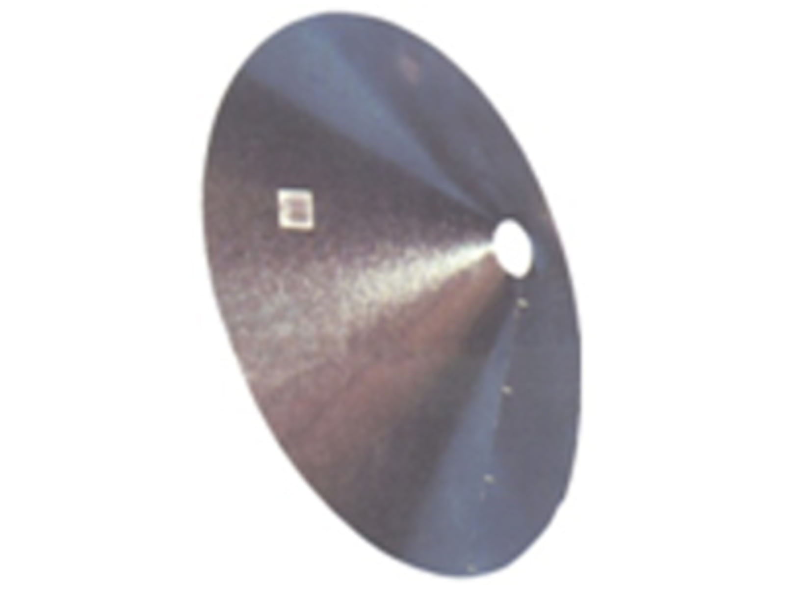 American Hunter Traditional Feeder Funnel