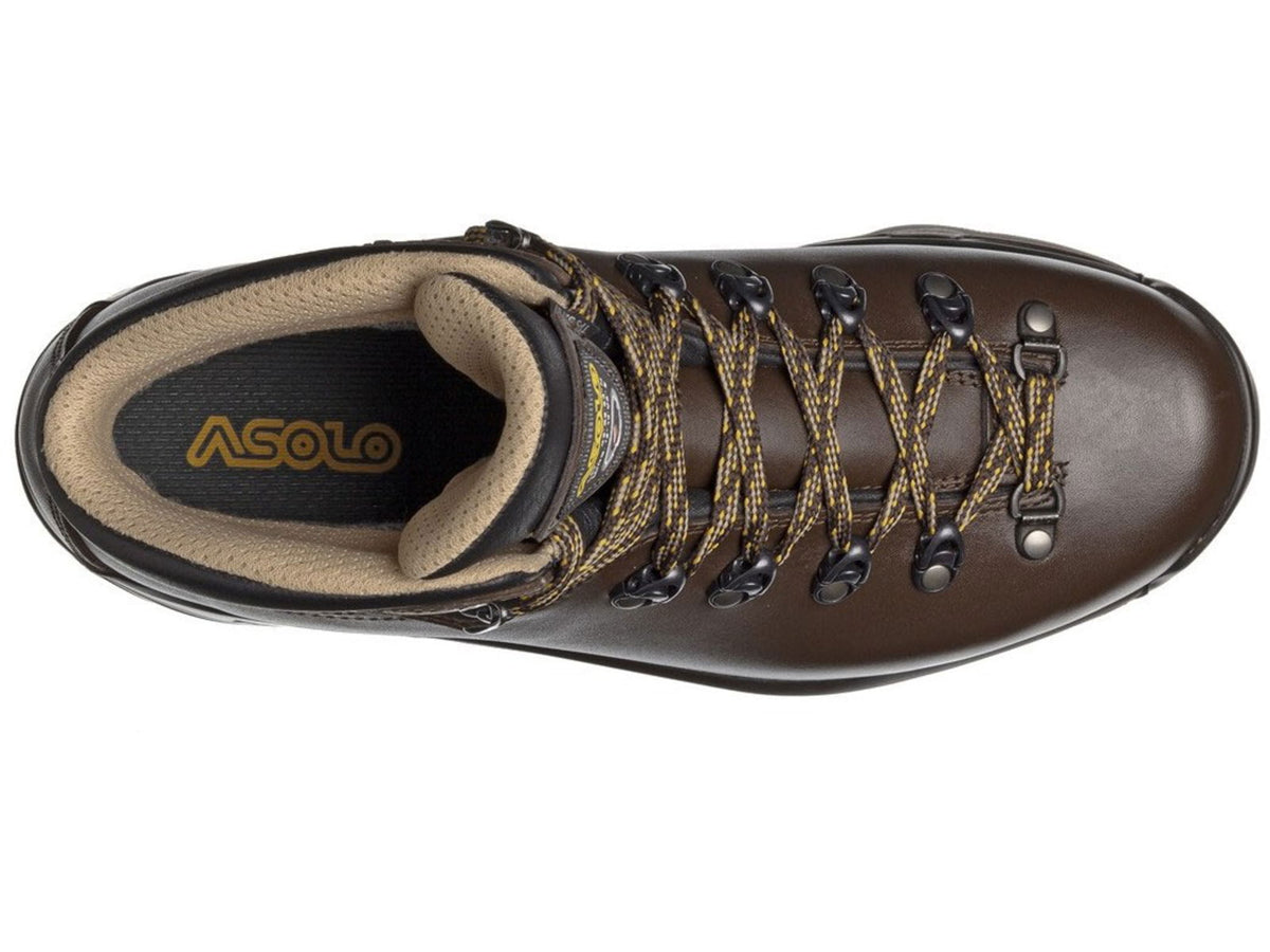 Asolo TPS 520 Backpacking Boot - Women's Chestnut
