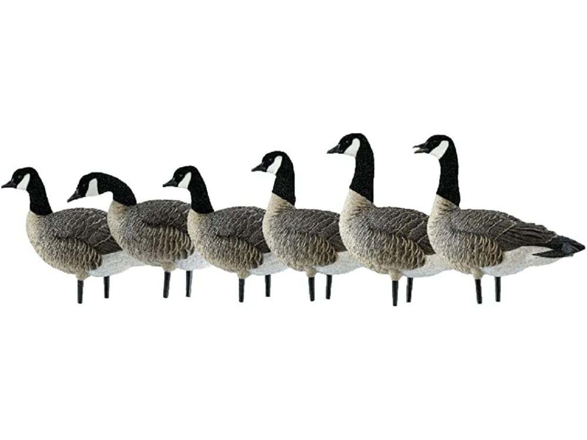 Avian X Active Pack APX Lessers Decoy AVX-AVX9008