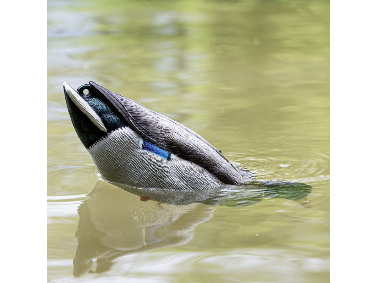 Avian X Tip Up Mallard Feeder Duck AVX-TPUPM