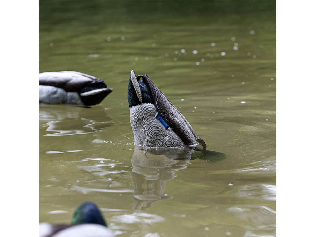 Avian X Tip Up Mallard Feeder Duck AVX-TPUPM
