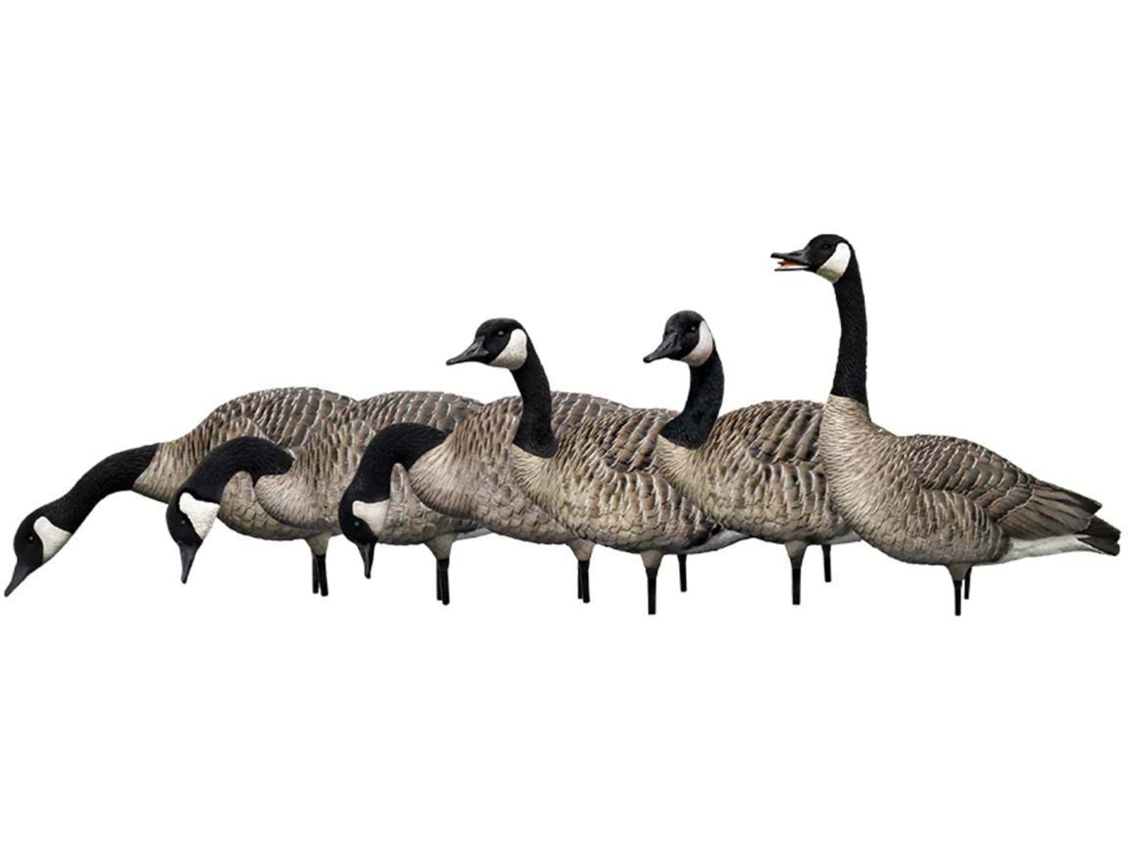 Avian X AXP Goose Decoys Fusion Honker 6 pk AVX-AVX9006