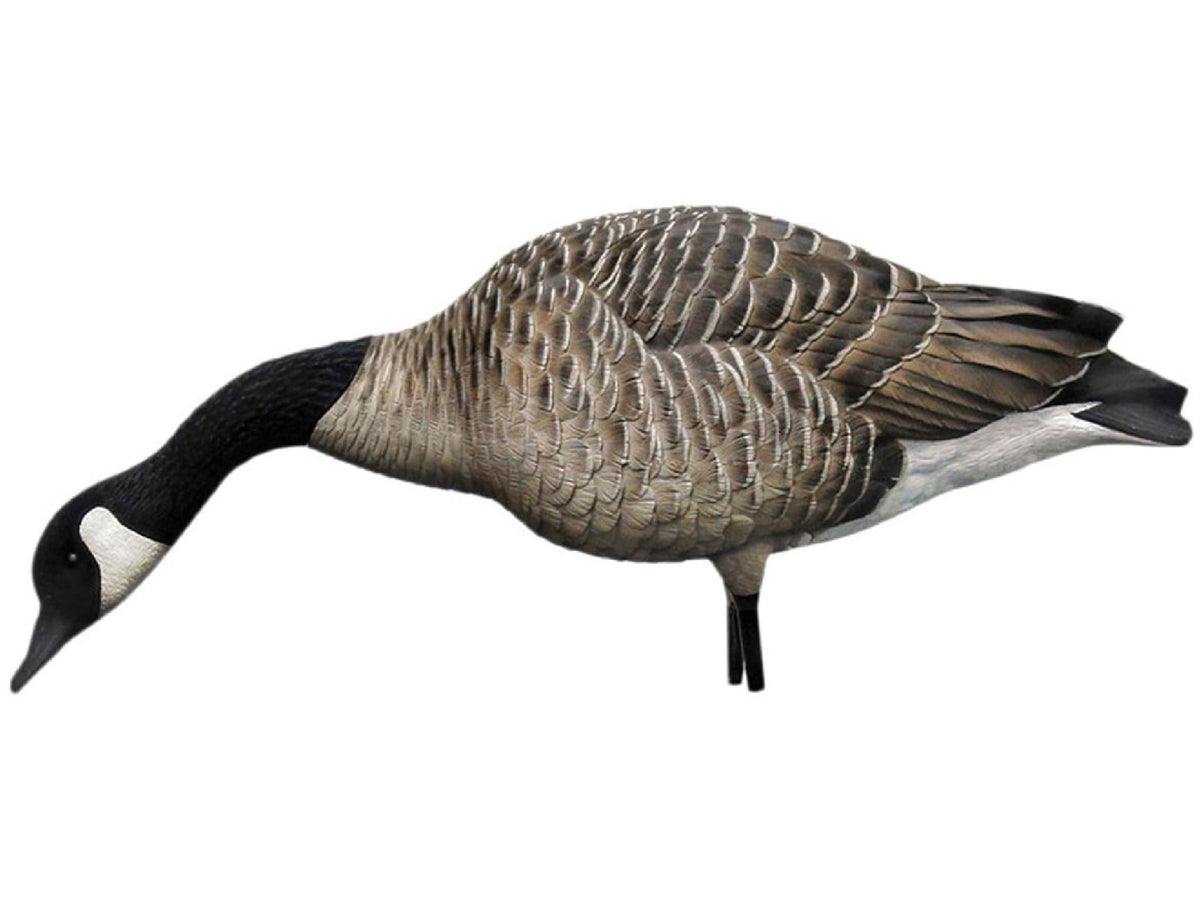 Avian X Axp - Honker Feeders Decoy AVX-AVX9003
