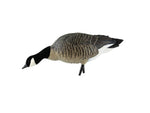 Avian X AXP Honker Sentry-Walker Decoy Black AVX-HONK-6PK