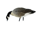 Avian X AXP Honker Sentry-Walker Decoy Black AVX-HONK-6PK