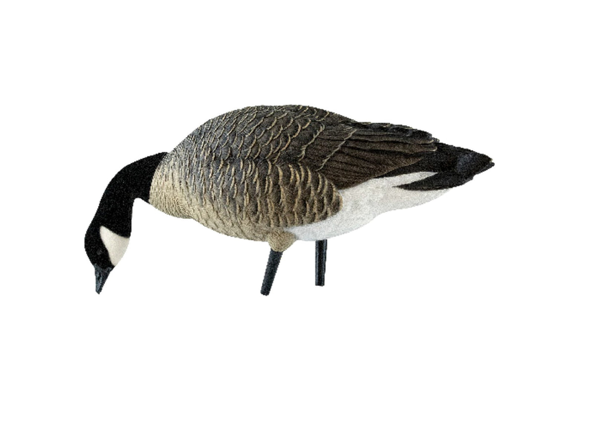 Avian X AXP Honker Sentry-Walker Decoy Black AVX-HONK-6PK