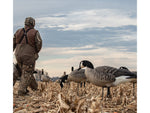 Avian X AXP Honker Sentry-Walker Decoy Black AVX-HONK-6PK