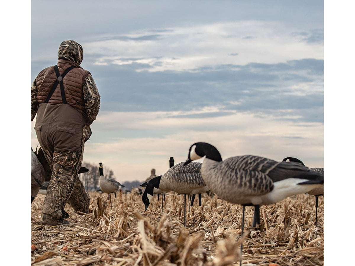 Avian X AXP Honker Sentry-Walker Decoy Black AVX-HONK-6PK