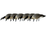 Avian X AXP Honker Sentry-Walker Decoy Black AVX-HONK-6PK