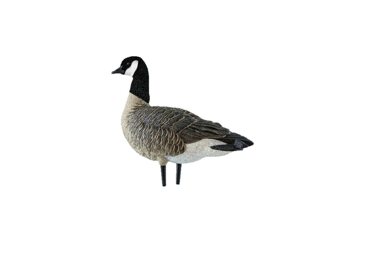 Avian X AXP Outfitter Lesser Pack w/12 Slot Bag AVX-AVX9009
