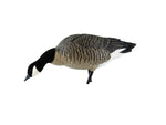 Avian X AXP Outfitter Lesser Pack w/12 Slot Bag AVX-AVX9009
