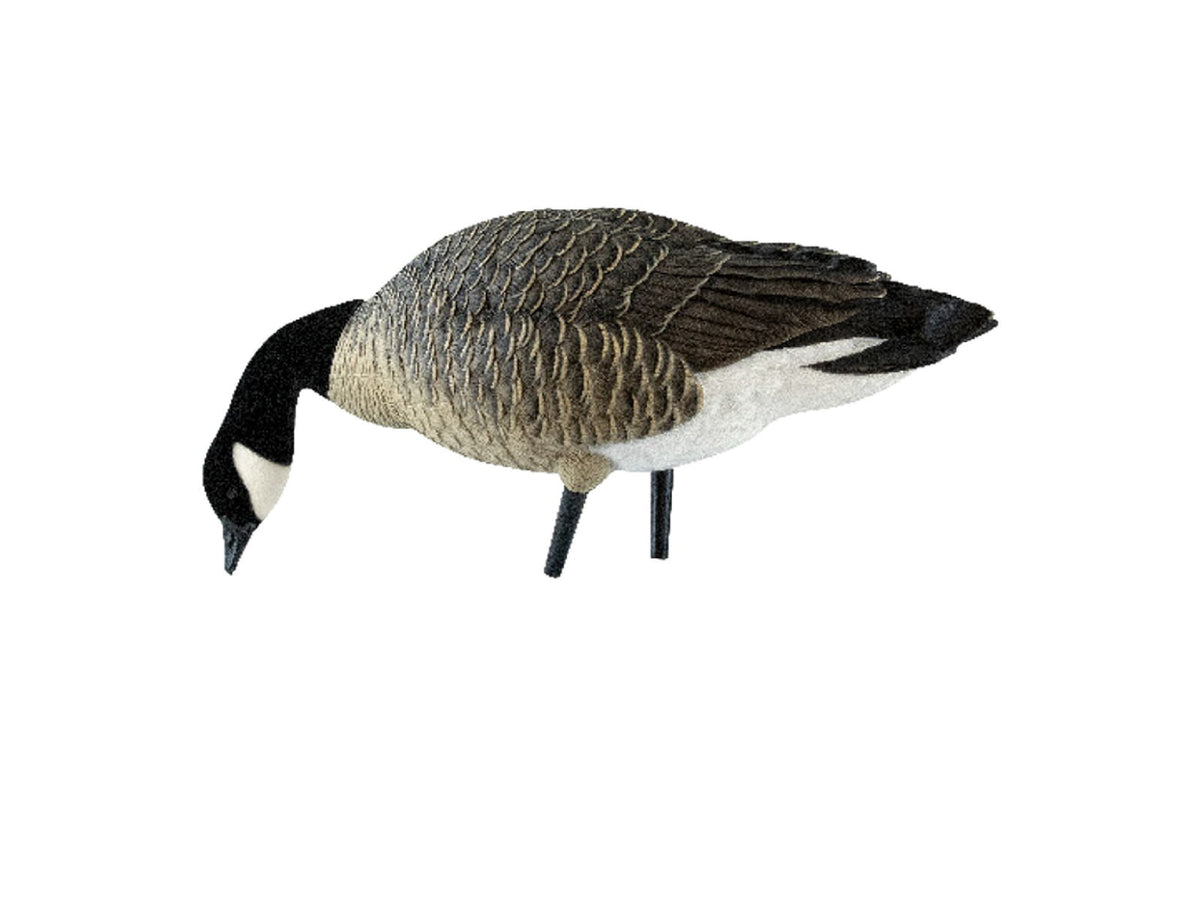 Avian X AXP Outfitter Lesser Pack w/12 Slot Bag AVX-AVX9009