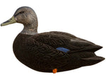 Avian X Fusion Pack AXF Ducks Decoy Black