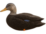 Avian X Fusion Pack AXF Ducks Decoy Black