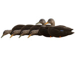 Avian X Fusion Pack AXF Ducks Decoy Black