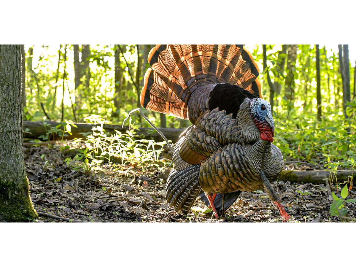 Avian X HDR Strutter Decoy Synthetic AVX-AVX8108