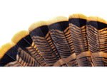 Avian X HDR Strutter Decoy Synthetic AVX-AVX8108