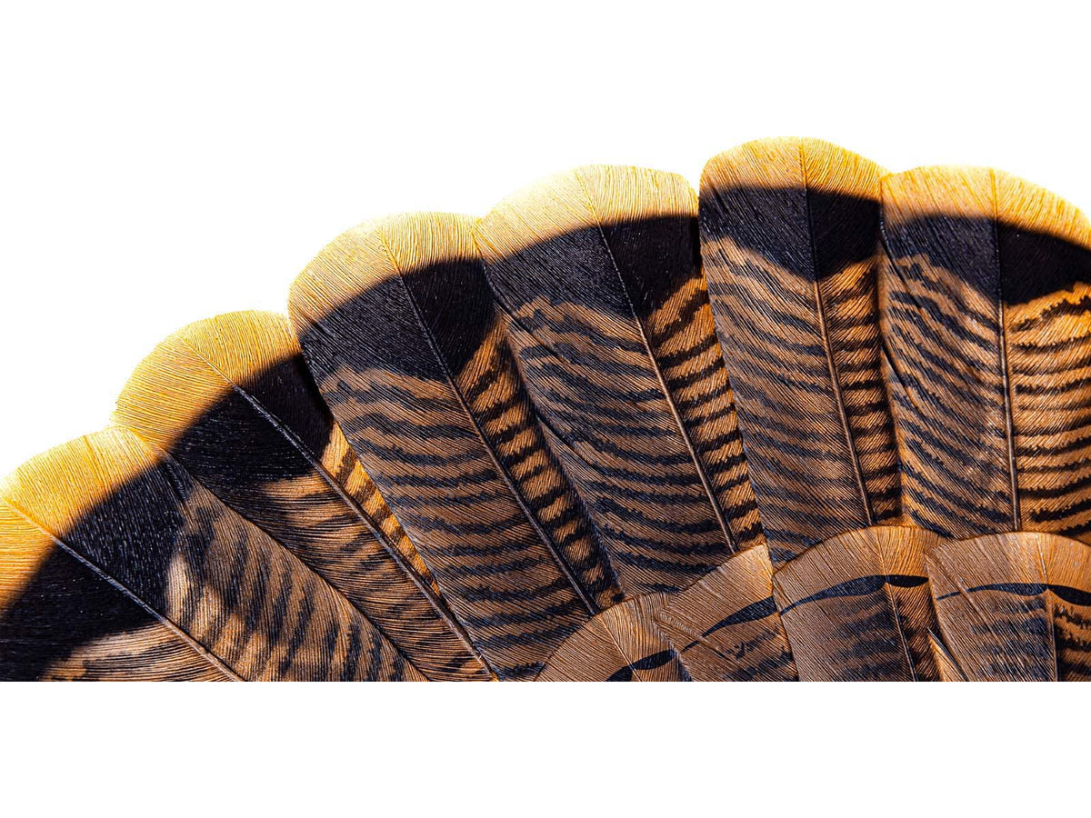 Avian X HDR Strutter Decoy Synthetic AVX-AVX8108