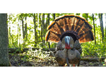 Avian X HDR Strutter Decoy Synthetic AVX-AVX8108