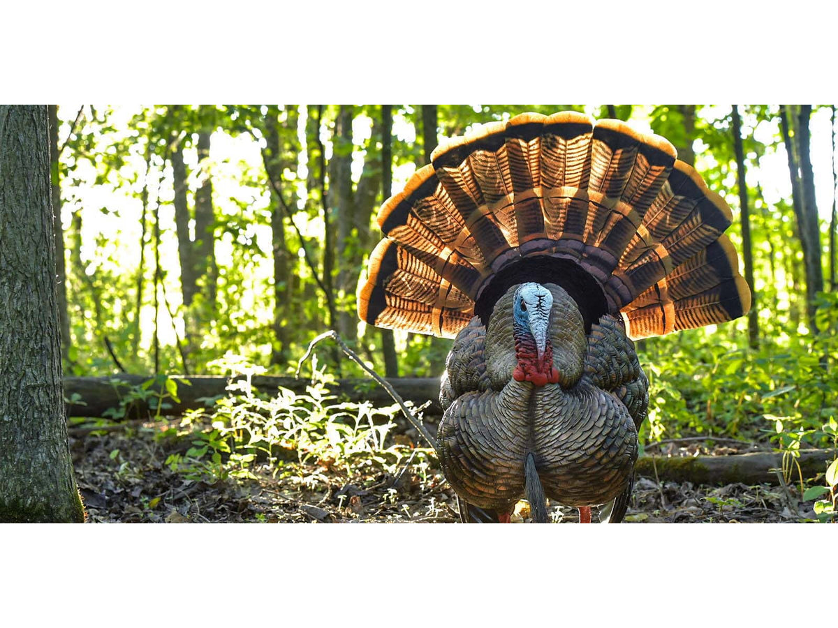 Avian X HDR Strutter Decoy Synthetic AVX-AVX8108