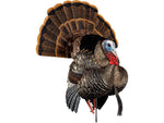 Avian X HDR Strutter Decoy Synthetic AVX-AVX8108