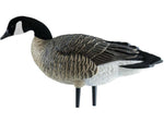 Avian X Outfitter Pack AXF Lessers Decoy