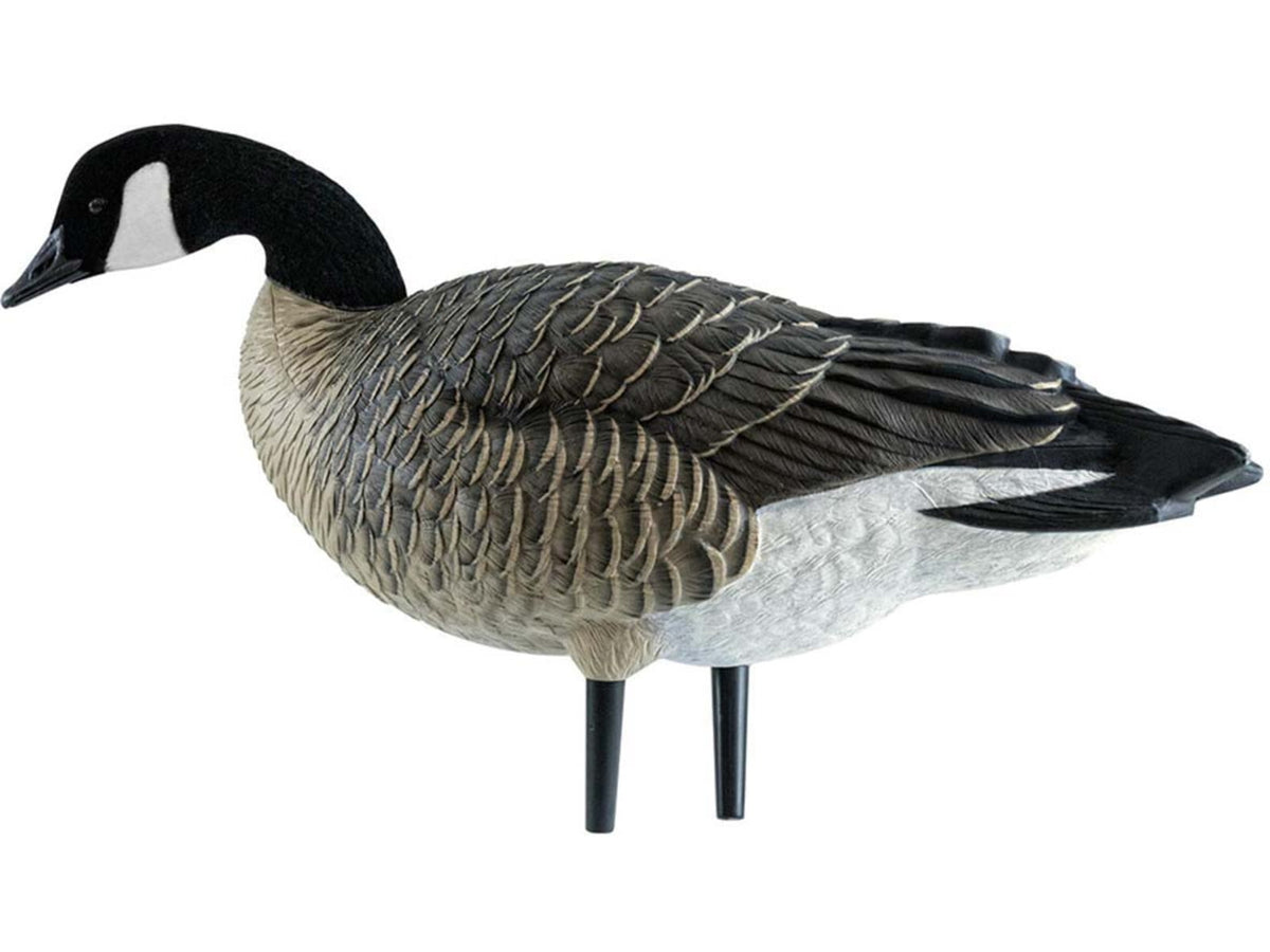 Avian X Outfitter Pack AXF Lessers Decoy