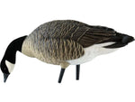 Avian X Outfitter Pack AXF Lessers Decoy
