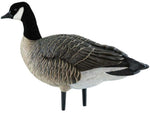 Avian X Outfitter Pack AXF Lessers Decoy