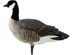 Avian X Outfitter Pack AXF Lessers Decoy