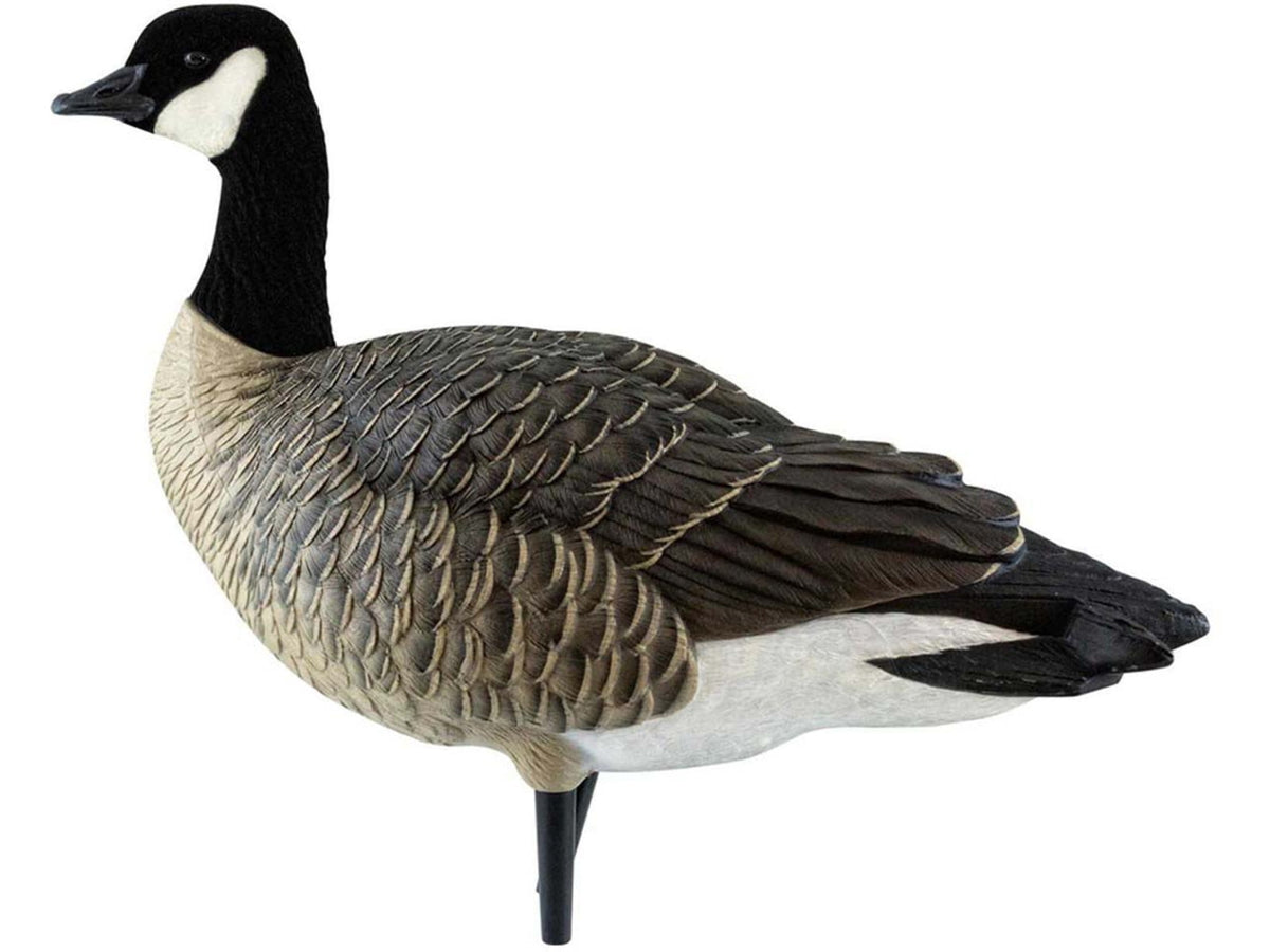 Avian X Outfitter Pack AXF Lessers Decoy